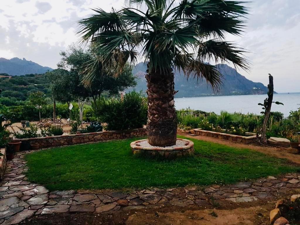 Il Bacio Del Sole Apartment Tertenia Bagian luar foto